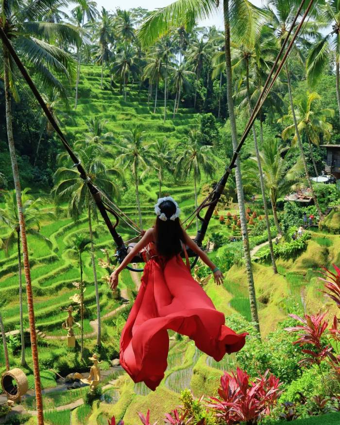 Bali Swing – trải nghiệm xích đu trên cao không thể bỏ qua khi đến Bali