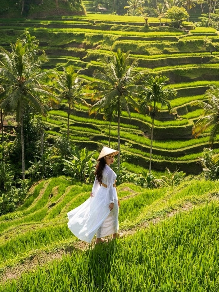 Trải nghiệm khung cảnh ruộng bậc thang xanh mướt tại Tegallalang. Nguồn: biyukukung.ubud